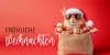 Gruß "Fröhliche Weihnachten"