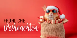 Gruß "Fröhliche Weihnachten"